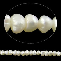 Brambor pěstované sladkovodní perle, Sladkovodní Pearl, přírodní, bílý, Grade, 2.8-4mm, Otvor:Cca 0.8mm, Prodáno za Cca 15 inch Strand