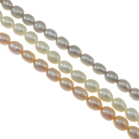 Rice Kulturan Slatkovodni Pearl perle, Riža, prirodan, više boja za izbor, Razred AAA, 5-6mm, Rupa:Približno 0.8mm, Prodano Per Približno 15 inčni Strand