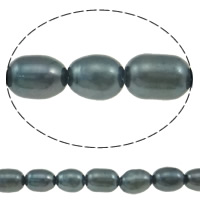 Rice ferskvandskulturperle Beads, Ferskvandsperle, Ris, blå sort, Grade AA, 3.8-4mm, Hole:Ca. 0.8mm, Solgt Per Ca. 15 inch Strand