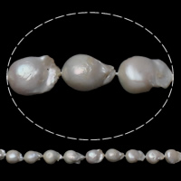 Slatkovodni Kulturan jezgrom Pearl perle, Kulturan Slatkovodni jezgrom Pearl, Keishi, prirodan, bijel, 11-13mm, Rupa:Približno 0.8mm, Prodano Per Približno 15.5 inčni Strand