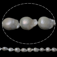 Geperforeerde zoetwater gekweekte parels, Gekweekte Zoetwater genucleëerde Pearl, Keishi, natuurlijk, wit, 11-13mm, Gat:Ca 0.8mm, Per verkocht Ca 15.5 inch Strand