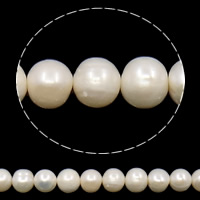 Brambor pěstované sladkovodní perle, Sladkovodní Pearl, přírodní, bílý, 10-11mm, Otvor:Cca 0.8mm, Prodáno za Cca 14.5 inch Strand