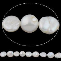 Coirníní Bonn saothraithe Diúilicín Péarla, Pearl Fionnuisce, nádúrtha, bán, 11-12mm, Poll:Thart 0.8mm, Díolta Per Thart 15.7 Inse Snáithe