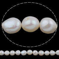 Perles nacres baroques de culture d'eau douce , perle d'eau douce cultivée, naturel, blanc, 10-11mm, Trou:Environ 0.8mm, Vendu par Environ 15.7 pouce brin