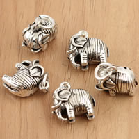 Bali Sterling Silber Anhänger, Thailand, Elephant, 12.50x17x7.30mm, Bohrung:ca. 4mm, 3PCs/Tasche, verkauft von Tasche