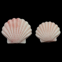 De reuze Parels van de Clam, Gecanneleerd Giant, Schelp, Gesneden, meer maten voor de keuze, roze, Gat:Ca 1mm, Verkocht door Lot