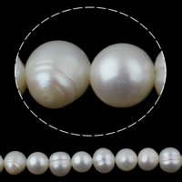 Kulaté kultivované sladkovodní perle, Sladkovodní Pearl, Kolo, přírodní, bílý, 7-8mm, Otvor:Cca 0.8mm, Prodáno za Cca 15 inch Strand