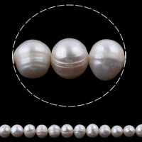 Runda odlad sötvattenspärla pärlor, Freshwater Pearl, naturlig, vit, Grade A, 10-11mm, Hål:Ca 0.8mm, Såld Per Ca 14 inch Strand