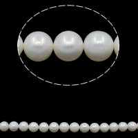 Perlas Redondas Freshwater, Perlas cultivadas de agua dulce, Esférico, natural, Blanco, Grado A, 9-10mm, agujero:aproximado 0.8mm, Vendido para aproximado 15.7 Inch Sarta