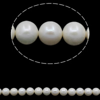 Runda odlad sötvattenspärla pärlor, Freshwater Pearl, naturlig, vit, Grade A, 9-10mm, Hål:Ca 0.8mm, Såld Per Ca 15.7 inch Strand