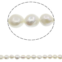 Barokní kultivované sladkovodní perle, Sladkovodní Pearl, Baroko, přírodní, bílý, 12-13mm, Otvor:Cca 0.8mm, Prodáno za Cca 15.7 inch Strand