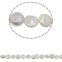 Coin odlad sötvattenspärla pärlor, Freshwater Pearl, naturlig, vit, 12-13mm, Hål:Ca 0.8mm, Såld Per Ca 15.7 inch Strand