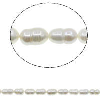 Ferskvandsperle Bead, Calabash, naturlig, hvid, 10-11mm, Hole:Ca. 0.8mm, Solgt Per Ca. 15.7 inch Strand