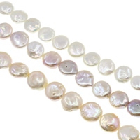 Coin Kulturan Slatkovodni Pearl perle, Novčić, prirodan, više boja za izbor, 13-14mm, Rupa:Približno 0.8mm, Prodano Per Približno 15.7 inčni Strand