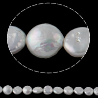 Coin odlad sötvattenspärla pärlor, Freshwater Pearl, naturlig, vit, 12-13mm, Hål:Ca 0.8mm, Såld Per Ca 15.3 inch Strand