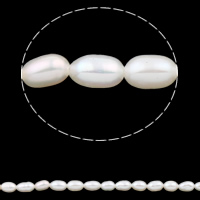 Rice Kulturan Slatkovodni Pearl perle, Riža, prirodan, bijel, 3-4mm, Rupa:Približno 0.8mm, Prodano Per Približno 15 inčni Strand