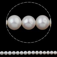 Cultured Potato Freshwater Pearl Beads natural white Grade A 10-11mm Approx 0.8mm Sold Per Approx 15.7 Inch Strand