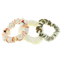 Shell Smycken Armband, blandad, 15-25mm, Längd Ca 7 inch, 10Strands/Lot, Säljs av Lot