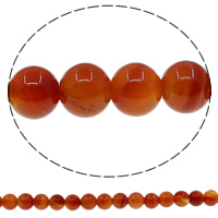 Natural Red Agate Beads Round Approx 1mm Length Approx 15 Inch Sold By Lot