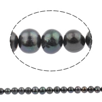 Barokna Kulturan Slatkovodni Pearl perle, Krug, crn, 10-11mm, Rupa:Približno 0.8mm, Prodano Per 14.5 inčni Strand