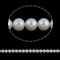 Runda odlad sötvattenspärla pärlor, Freshwater Pearl, naturlig, vit, Grade AA, 8-9mm, Hål:Ca 0.8mm, Såld Per 15.5 inch Strand