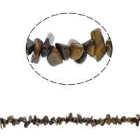 dragi kamen čips, Tiger Eye, Čips, 5-8mm, Rupa:Približno 0.8mm, Približno 260računala/Strand, Prodano Per Približno 34.6 inčni Strand