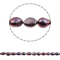 Barok ferskvandskulturperle Beads, Ferskvandsperle, mørklilla, 8-9mm, Hole:Ca. 0.8mm, Solgt Per Ca. 15.3 inch Strand