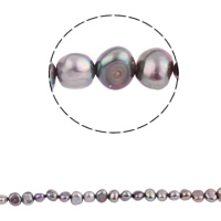 Barock odlad sötvattenspärla pärlor, Freshwater Pearl, mörkt lila, 6-7mm, Hål:Ca 0.8mm, Såld Per Ca 15.3 inch Strand