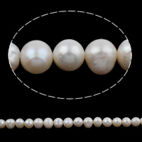 Krumpir Kulturan Slatkovodni Pearl perle, prirodan, bijel, 10-11mm, Rupa:Približno 0.8mm, Prodano Per Približno 15.7 inčni Strand