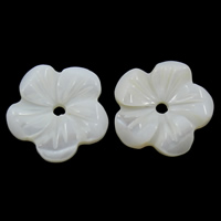 Natural White Shell Perler, Flower, 13x2mm, Hole:Ca. 1mm, 30pc'er/Bag, Solgt af Bag