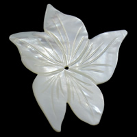 Coirníní Bán Shell Nádúrtha, Flower, 39x59x7mm, Poll:Thart 1mm, 5ríomhairí pearsanta/Mála, Díolta De réir Mála