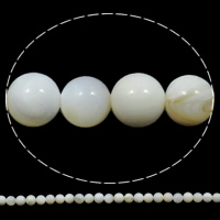 Natural White Shell Beads Round 8mm Approx 1mm Length Approx 15.7 Inch Approx Sold By Bag