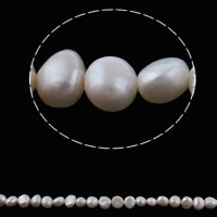 Coirníní Bharócach saothraithe Diúilicín Péarla, Pearl Fionnuisce, nádúrtha, bán, 8-9mm, Poll:Thart 0.8mm, Díolta Per Thart 15.3 Inse Snáithe