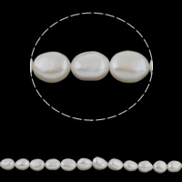 Barokní kultivované sladkovodní perle, Sladkovodní Pearl, Baroko, přírodní, bílý, Grade AAAA, 12-13mm, Otvor:Cca 0.8mm, Prodáno za Cca 15.7 inch Strand