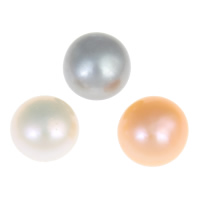 Half Vrtané kultivované sladkovodní perle, Sladkovodní Pearl, Kupole, half-vrtané, více barev na výběr, Grade AA, 9.5-10mm, Otvor:Cca 0.8mm, 27páry/Bag, Prodáno By Bag