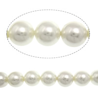 South Sea Shell Helmet, Pyöreä, valkoinen, 12mm, Reikä:N. 0.5mm, 34PC/Strand, Myyty Per 16 tuuma Strand