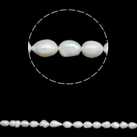 Barokní kultivované sladkovodní perle, Sladkovodní Pearl, Baroko, přírodní, bílý, 11-12mm, Otvor:Cca 0.8mm, Prodáno za Cca 15 inch Strand