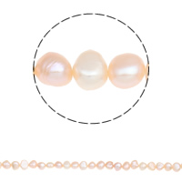 Barokní kultivované sladkovodní perle, Sladkovodní Pearl, Baroko, přírodní, růžový, 6-7mm, Otvor:Cca 0.8mm, Prodáno za Cca 15 inch Strand