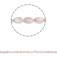 Barokní kultivované sladkovodní perle, Sladkovodní Pearl, Baroko, přírodní, nachový, 6-7mm, Otvor:Cca 0.8mm, Prodáno za Cca 14.7 inch Strand