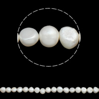 Barokna Kulturan Slatkovodni Pearl perle, prirodan, bijel, 10-11mm, Rupa:Približno 0.8mm, Prodano Per Približno 14.5 inčni Strand