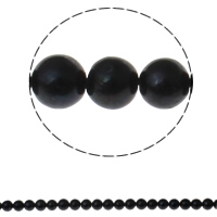 Kulaté kultivované sladkovodní perle, Sladkovodní Pearl, Kolo, přírodní, černý, Grade, 9-10mm, Otvor:Cca 0.8mm, Prodáno za Cca 14.5 inch Strand