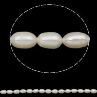 Rice Kulturan Slatkovodni Pearl perle, Riža, prirodan, bijel, ocjena, 6-7mm, Rupa:Približno 0.8mm, Prodano Per Približno 14 inčni Strand