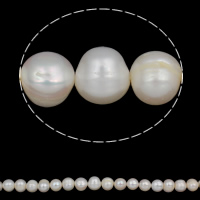 Prátaí Saothraithe coirníní Péarla Fionnuisce, Pearl Fionnuisce, nádúrtha, bán, 12-15mm, Poll:Thart 0.8mm, Díolta Per Thart 15.7 Inse Snáithe