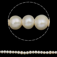 Brambor pěstované sladkovodní perle, Sladkovodní Pearl, přírodní, bílý, 8-9mm, Otvor:Cca 1.5mm, Prodáno za Cca 15 inch Strand