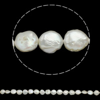 Coin ferskvandskulturperle Beads, Ferskvandsperle, naturlig, hvid, Grade AA, 10-11mm, Hole:Ca. 0.8mm, Solgt Per 15 inch Strand