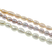 Barokní kultivované sladkovodní perle, Sladkovodní Pearl, Baroko, přírodní, více barev na výběr, Grade AAAA, 7-8mm, Otvor:Cca 0.8mm, Prodáno za Cca 15.7 inch Strand