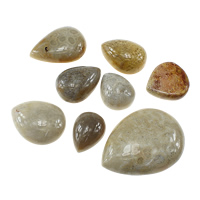 Chrysanthemum Stone Cabochon, natuurlijk, platte achterkant & gemengd, 17-36x23-46.5x8-10mm, 5pC's/Lot, Verkocht door Lot