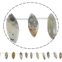 Perlas naturales ágata loca, Ágata loca, Ojo de Caballo, 8-15x20-40mm, agujero:aproximado 1mm, longitud aproximado 15 Inch, 5Strandsfilamento/Bolsa, aproximado 18PCs/Sarta, Vendido por Bolsa