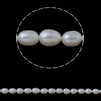 Rice Kulturan Slatkovodni Pearl perle, Riža, prirodan, bijel, 8-9mm, Rupa:Približno 0.8mm, Prodano Per Približno 15.3 inčni Strand