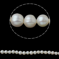 Prátaí Saothraithe coirníní Péarla Fionnuisce, Pearl Fionnuisce, nádúrtha, bán, 8-9mm, Poll:Thart 0.8mm, Díolta Per Thart 15 Inse Snáithe